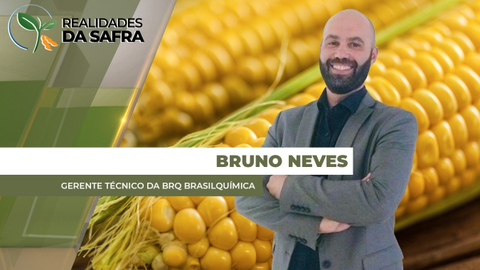 Plantio do milho atrasado aumenta risco climático para desenvolvimento das lavouras