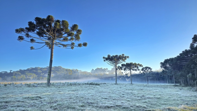 Frio intenso atingiu diversas cidades do estado de Santa Catarina