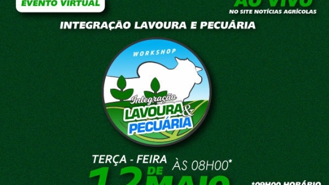 Acompanhe o workshop Integração Lavoura Pecuária, promovido em Sorriso-MT