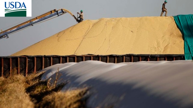 USDA informa venda de mais de 108 mil t de soja dos EUA para o México