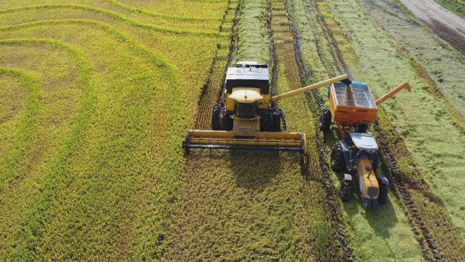 Vitrines tecnológicas apresentam inovações na Abertura Oficial da Colheita do Arroz