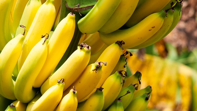 Banana/Cepea: Colheita crescente em SC pressiona preços na Ceagesp