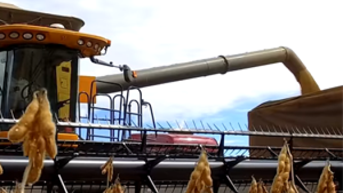 Algoritmos e sensores auxiliam a mapear o solo e otimizam a produção agrícola