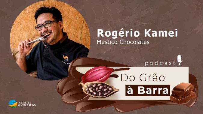 Do Grão à Barra #8 - Conheça as vantagens e os desafios das pequenas marcas de chocolates na competição de mercado