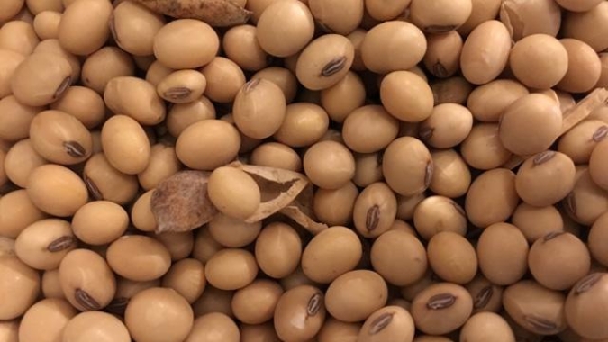 IGP-10 desacelera alta a 0,18% em julho com alívio de commodities agrícolas, diz FGV