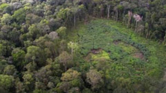 Desmatamento na Amazônia Legal tem queda de 64,26% em fevereiro