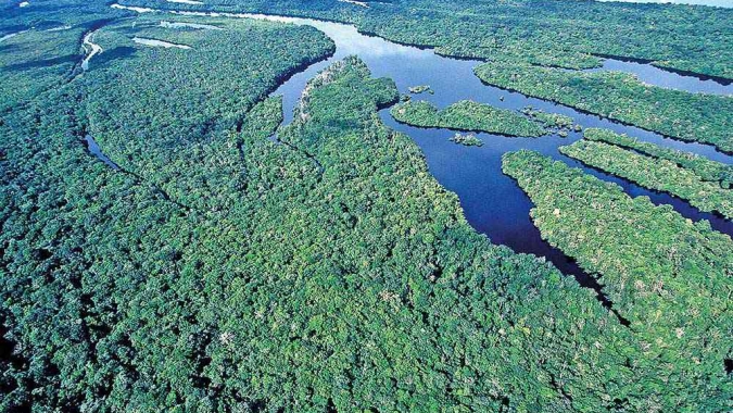 Na Reuters: Desmatamento da Amazônia cai 70% em janeiro; ambientalistas citam aumento de chuvas