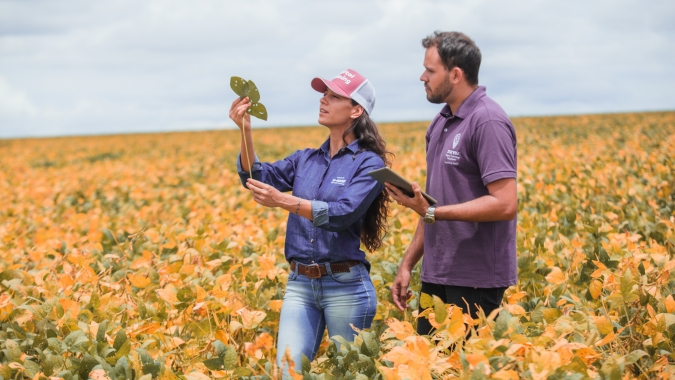 Solução de agricultura digital da BASF contribui com a otimização de recursos nas lavouras de soja