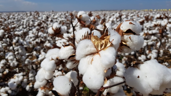 MT deve produzir 148,22 milhões de toneladas de grãos e pluma nos próximos 10 anos