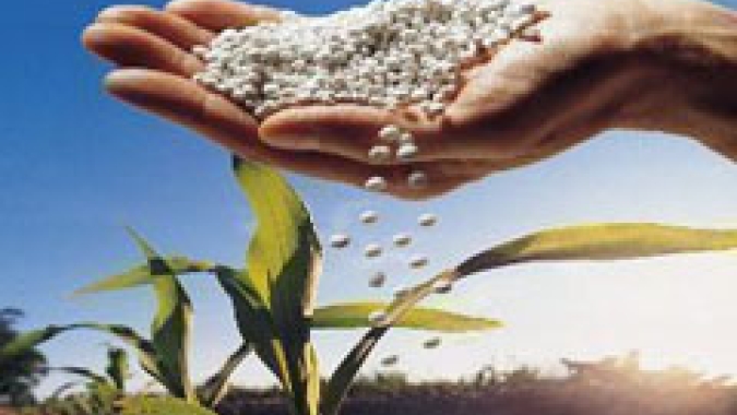 Artigo/Cepea: Alto preço de fertilizante desafia produtor