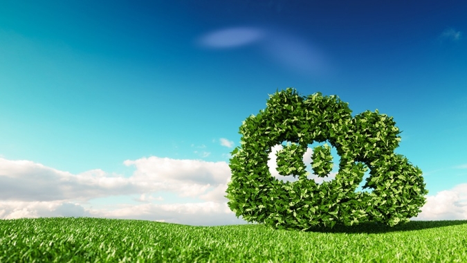 Expocacer é a primeira cooperativa de café do Brasil a conquistar o Selo Ouro de inventário de carbono