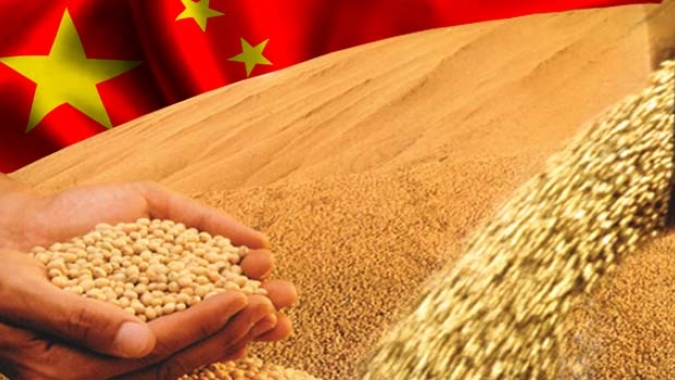 China irá promover plantio de soja e milho em consórcio em 1 mi de hectares