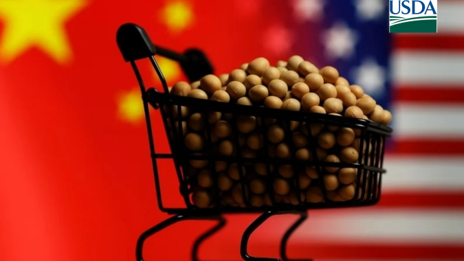 USDA: China compra mais soja dos EUA e volume passa de 500 mil t na semana