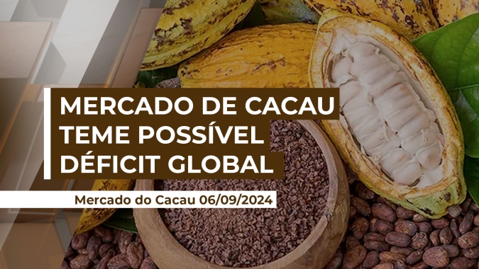 Temendo possível déficit de produto, mercado de cacau retoma posições com manutenção de preços acima de US$9 mil no contrato de setembro