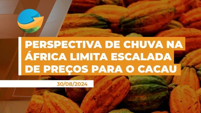 Perspectiva de chuva na África limita escalada de preços para o cacau, que acumula alta ao longo do ano