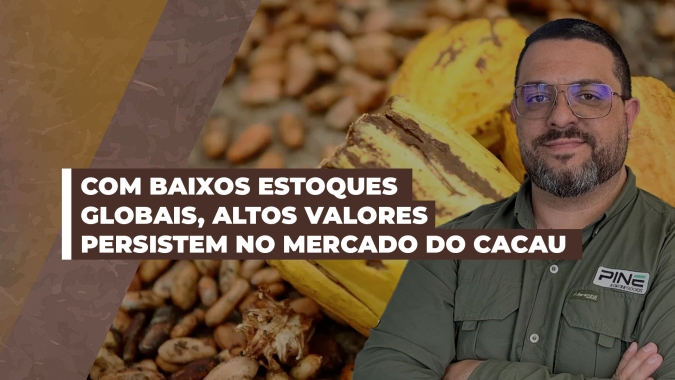 Alta valorização persiste no mercado do cacau, que olha para estoques globais como principal preocupação