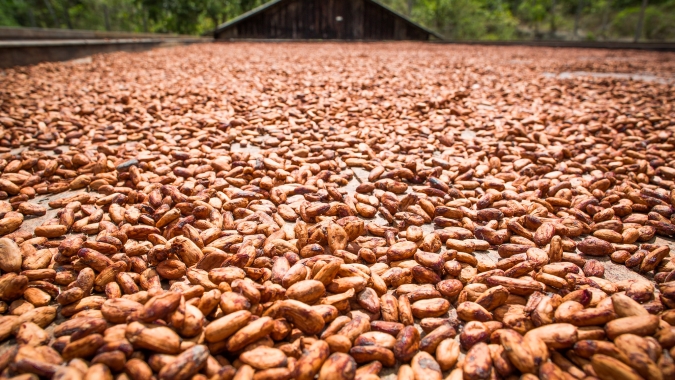 Previsão climática para a Páscoa indica “tempo bom” para o consumo de chocolate, aponta Nottus