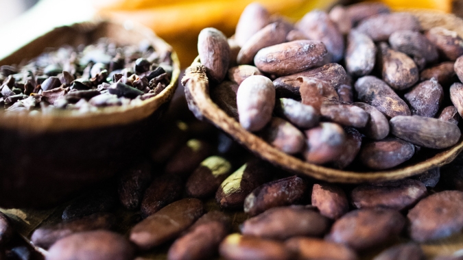São necessárias duas safras com produção de 2 milhões de toneladas para suprir déficit global de cacau