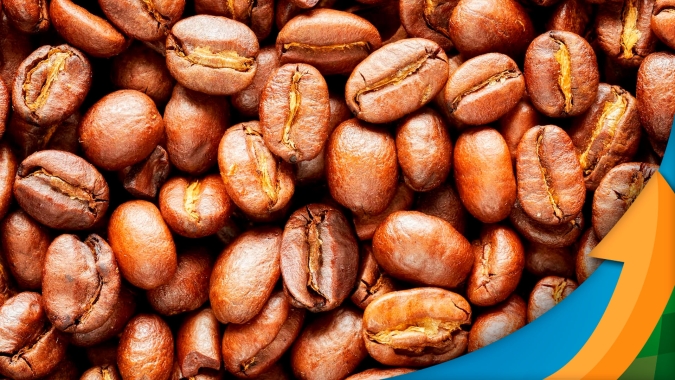 Stonex: Café tem fundamentos firmes para valorização, mas falta de transparência com números da produção deve continuar ditando volatilidade em NY e Londres