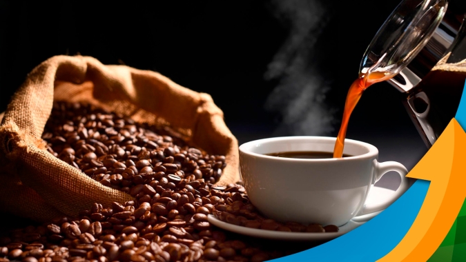 Café de qualidade: illy recebe 30% a mais de amostras e afirma que produtor já entendeu necessidade das boas práticas agrícolas e de bebida diferenciada na xícara