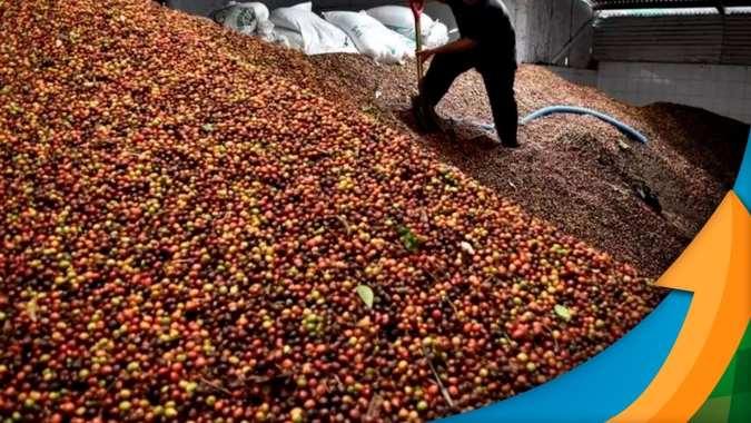 Impasses logísticos seguem impactando Brasil e Cecafé aponta redução de 12,8% nos embarques de julho