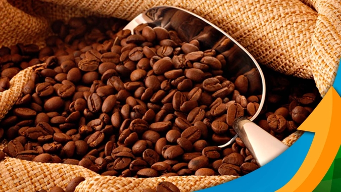 Café: Chuvas trazem sensação de alívio, mas El Niño continua no radar e volatilidade deve ser mantida no médio prazo