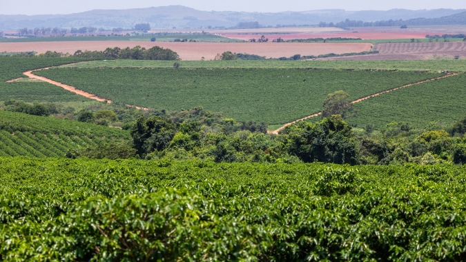 Café fecha em alta nas bolsas internacionais com temores de oferta e tensão geopolítica no Oriente Médio