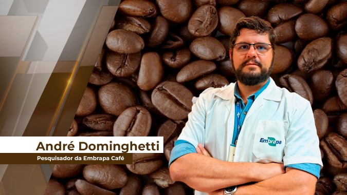 Atuais condições climáticas favorecem o surgimento da broca do café