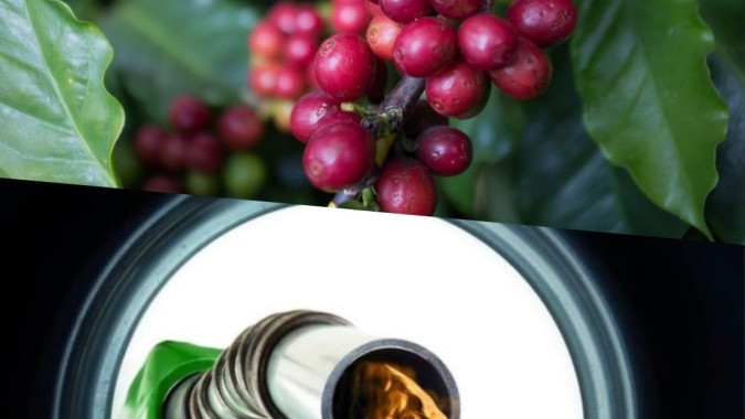 Alta do petróleo, perto de US$ 115, eleva pressão sobre custos e pode influenciar decisões de comercialização do café
