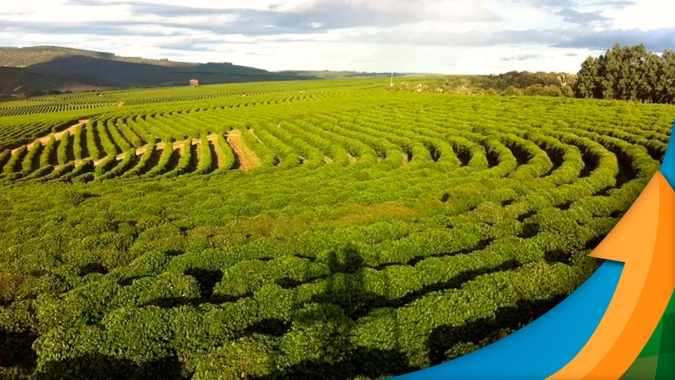 Rabobank: Café encerra semana com ajustes técnicos, ainda aguardando para ver impactos na safra 22 do BR e com foco nos gargalos logísticos