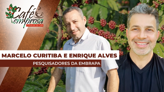 Café em Prosa #204 - Pesquisas realizadas pela Embrapa contribuem para o crescimento da cafeicultura amazônica