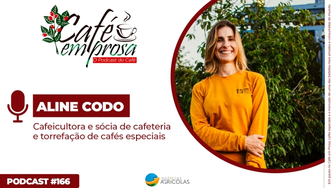 Com adversidades climáticas, produtor de café especial precisa recalcular rota e adotar novas estratégias na safra de 2024