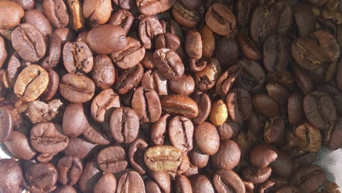 Conab: Produção de café apresenta recuperação de 2,7% em 2025, estimada em 55,7 milhões de sacas