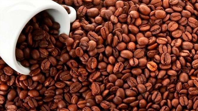 Hedgepoint Global Markets atualiza safra brasileira de Café 2025/26