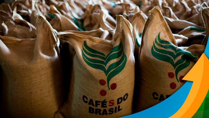 Recorde na exportação de café: "Brasil não terá excedente na produção, mas o suficiente para atender demanda internacional", afirma Cecafé