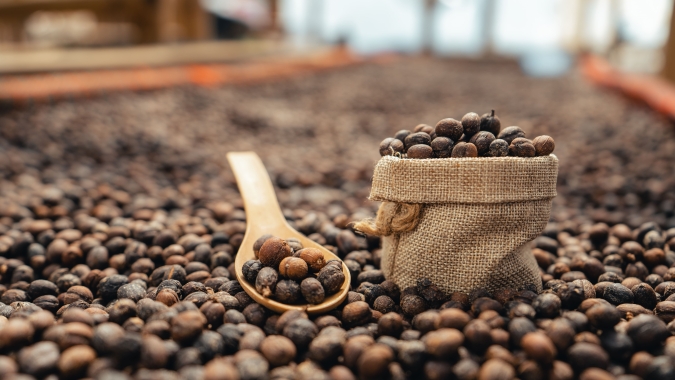 Faturamento bruto das lavouras dos Cafés do Brasil foi estimado em R$ 55,95 bilhões em 2024