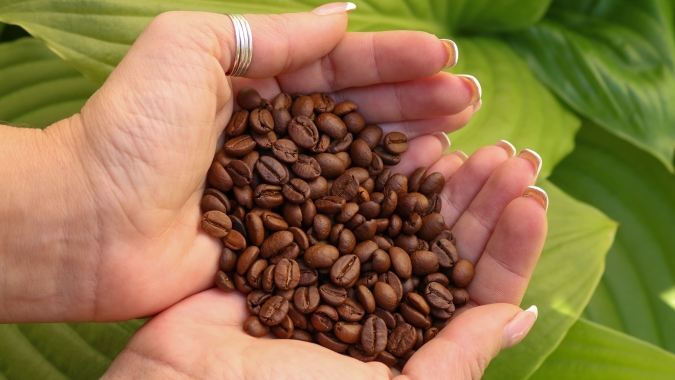 Preocupação com as tarifas recíprocas de Trump derruba os preços do café no fechamento desta 5ª feira (03)