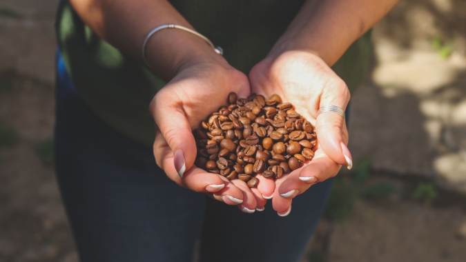 Preocupações com oferta impulsionam mercado e futuros do café acumulam valorização de 11% ao longo da semana