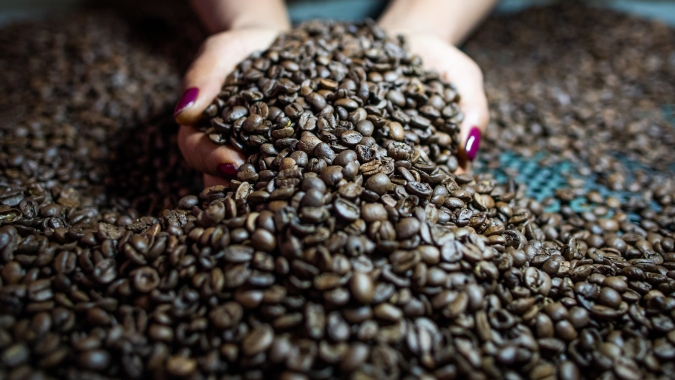 Café/Cepea: Clima favorece lavouras; cenário mais positivo pressiona cotação