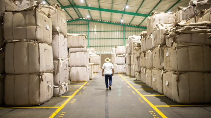 Preço da exportação de café não torrado aumenta mais de 80% em 6 dias úteis de maio/25