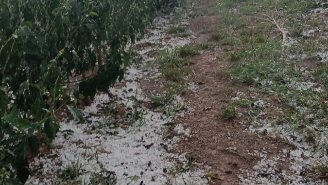 Granizo pode voltar ao Sul de Minas? Previsão mantém risco de temporais até quarta-feira e alerta cafeicultores