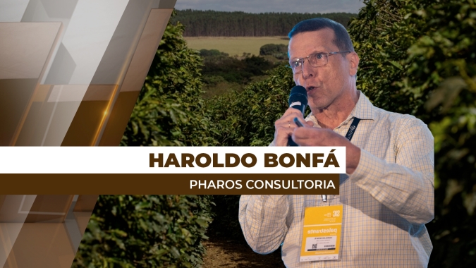 Quebra da safra brasileira de café arábica é que vem definindo os fortes preços na bolsa de NY