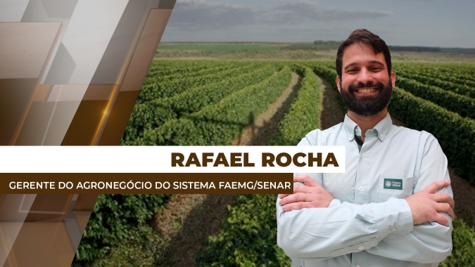 Clima e baixos estoques seguem pressionando os preços futuros do café