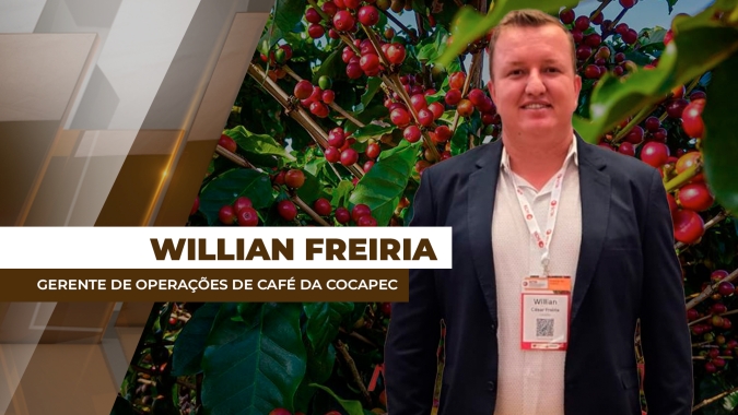 Região de Franca/SP registra bom pegamento da florada do café para safra 2026