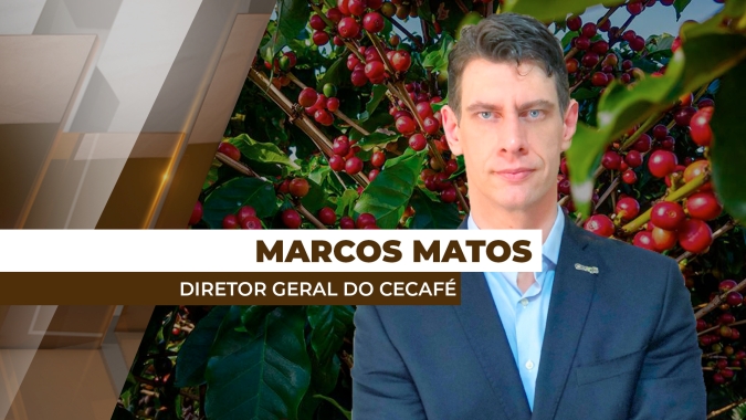 Brasil tem recuo de 1,6% nas exportações de café em janeiro, mas registra alta de 60% em receita cambial