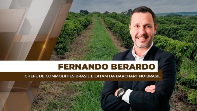 Café: NY registrou aumento de mais de 20% nos futuros desde início do tarifaço