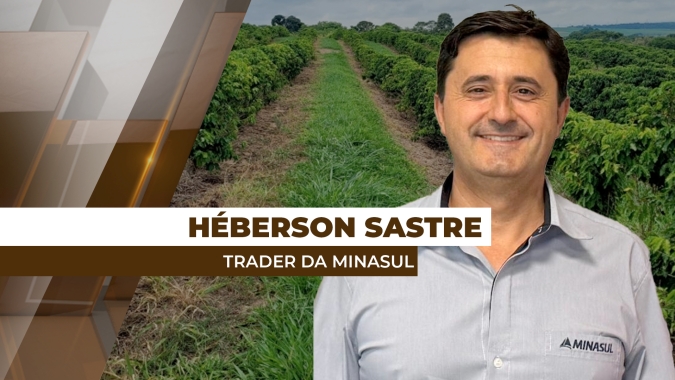 Entrada da safra brasileira de café deve estabilizar a volatilidade do mercado futuro