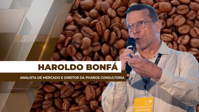 Café em jogo: vender agora ou esperar?