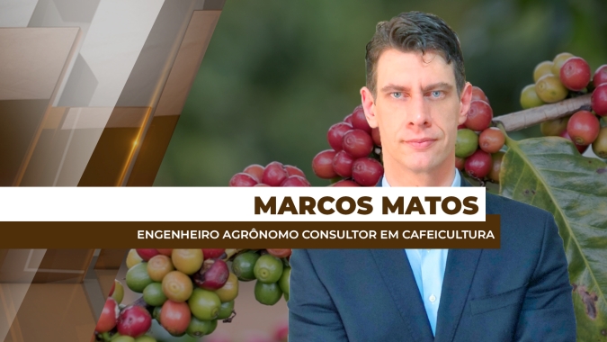 Mesmo com safra/25 de café arábica menor, Brasil ainda é o maior produtor e exportador da variedade para o mundo