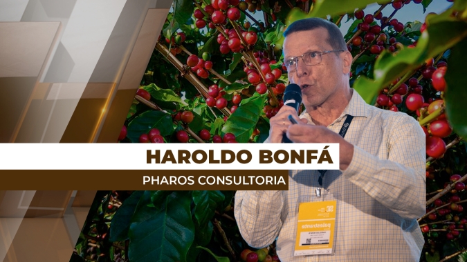 Clima adverso pode antecipar colheita da safra 2025 do café conilon no Brasil